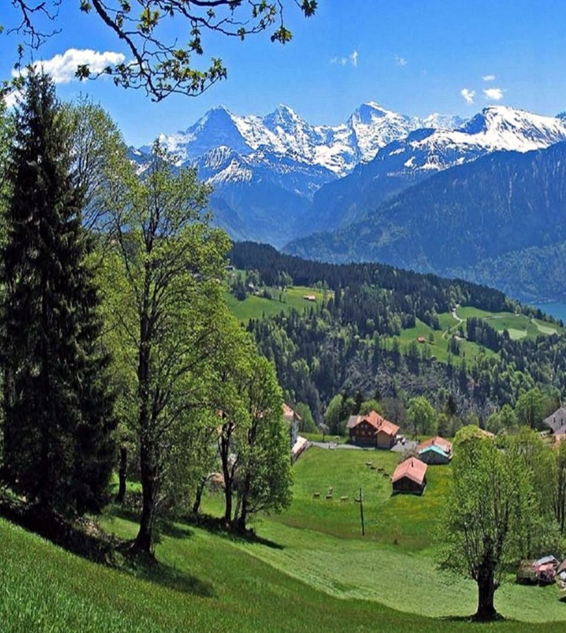 OASE der Ewigkeit - Schweiz