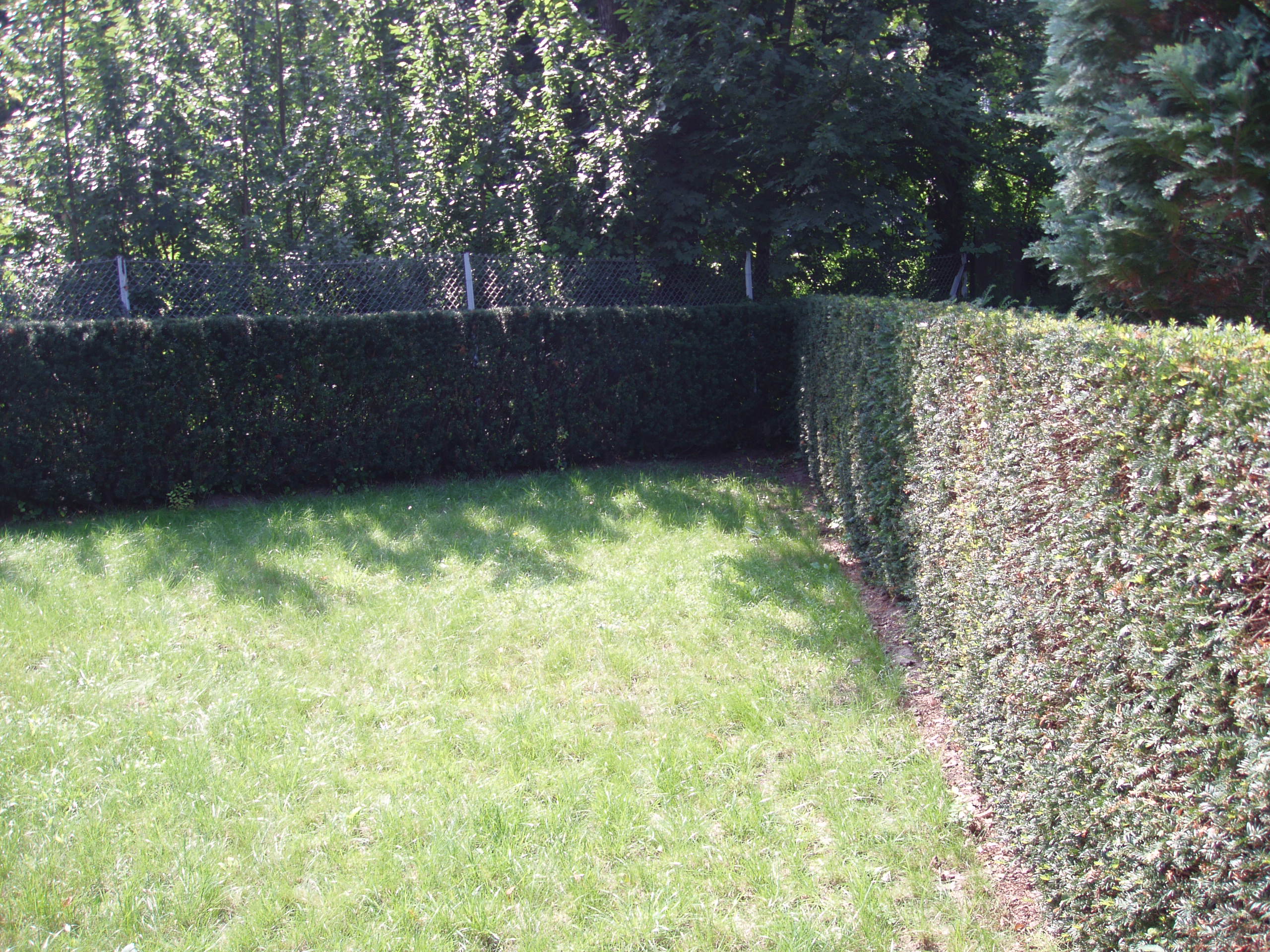 Urnen-Gemeinschaftsgrab